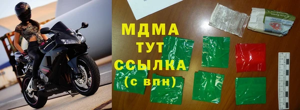гашик Алексин
