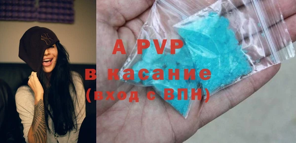 гашик Алексин