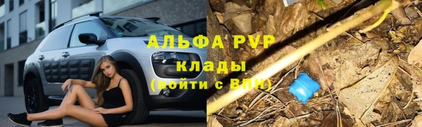 амф Алзамай