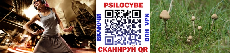 ОМГ ОМГ ONION  Апатиты  Галлюциногенные грибы прущие грибы  купить  сайты 