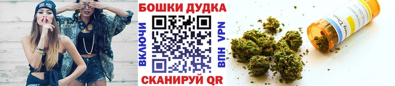 Канабис сатива Апатиты
