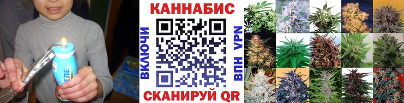 Конопля MAZAR  Апатиты 